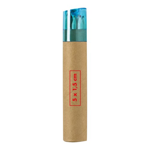 Lápices de colores de madera en estuche de cartón.