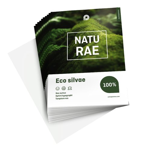 Flyers en papeles ecológicos/naturales, A4, impresión a una cara 2